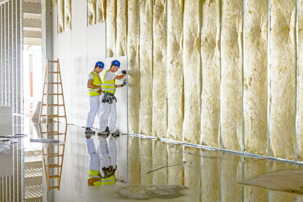 Types of Insulation We Offer in Moores Mill, AL